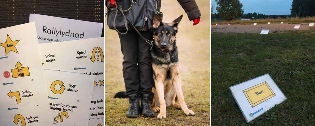 rallylydnad skyltar och banor